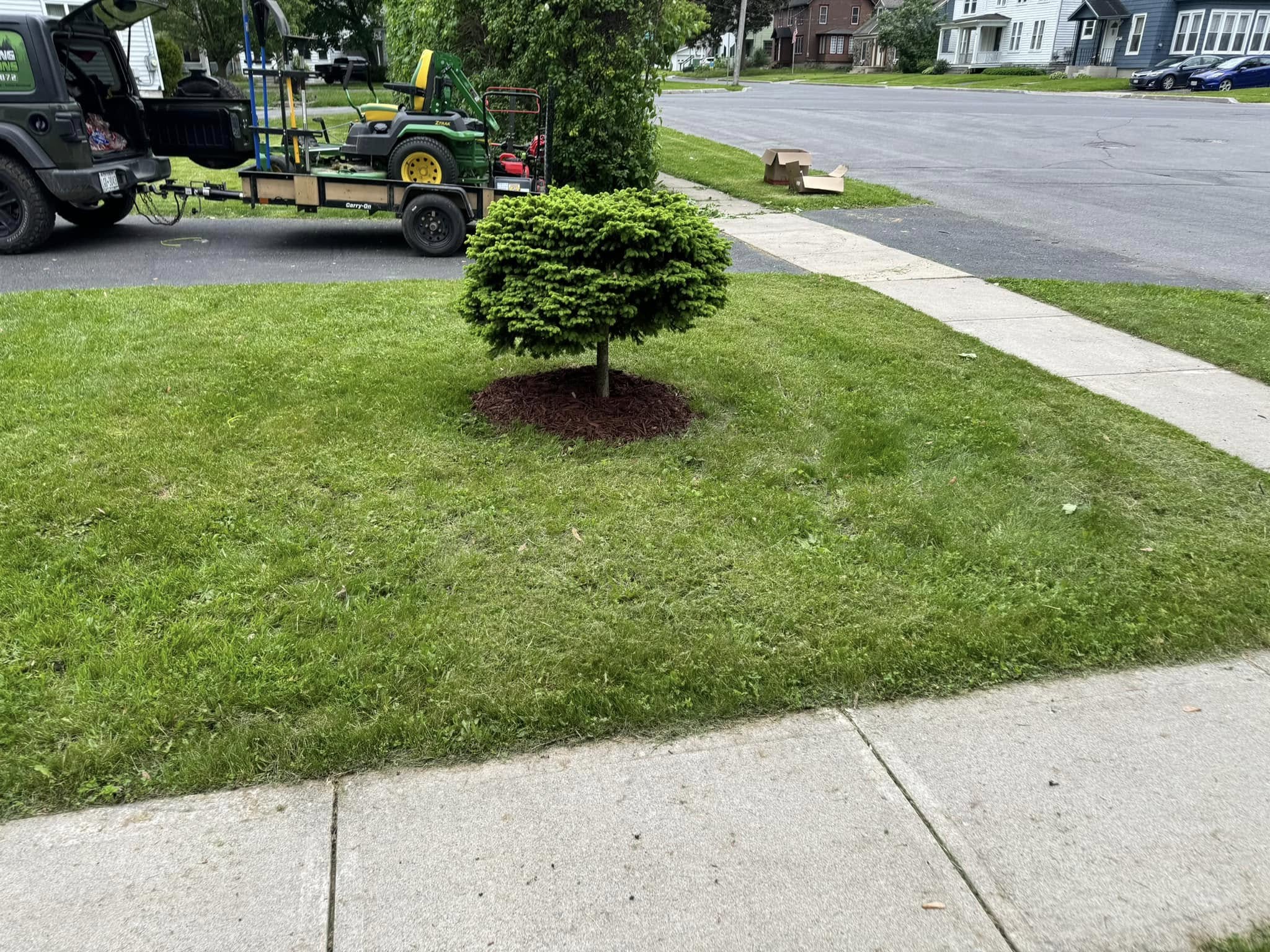 Bush Hedging & Trimming